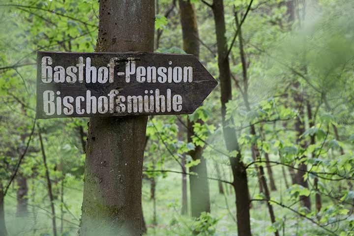 Gasthof Bischofsmühle im Frankenwald – Restaurant & Atmosphäre – Foto 3